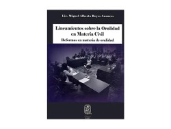 Lineamientos Sobre la Oralidad en Materia Civil