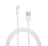 Apple Cable Lightning USB de 2 m Blanco