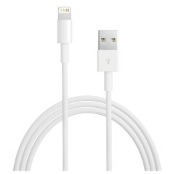 Apple Cable Lightning USB Blanco