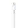 Apple Cable Lightning USB Blanco
