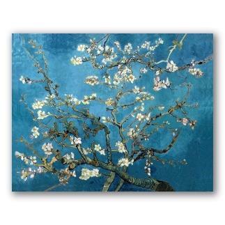 Almond Blossom