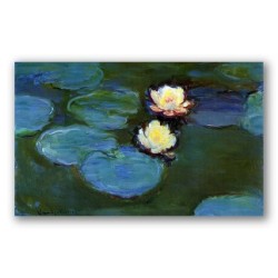 Water Lilies