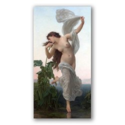 La aurora