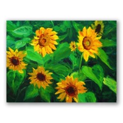 Girasoles