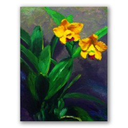 Botones de Oro