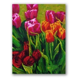 Amapolas