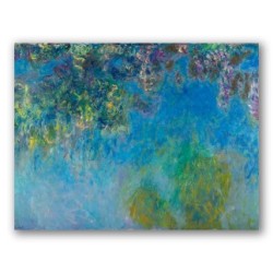 Wisteria