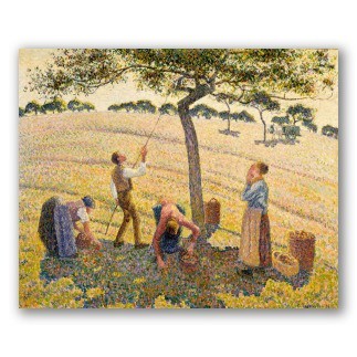 Cosecha de Manzanas