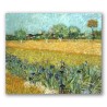 Campo con Flores