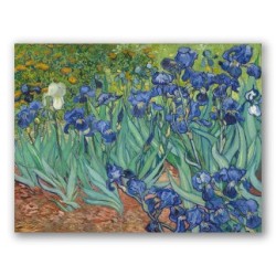 Irises