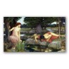 Eco y Narciso