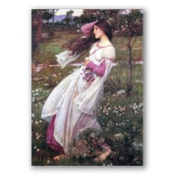Windflowers