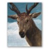 Cabeza de venado