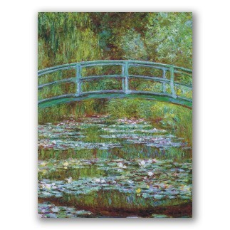 Estanque de Ninfeas - Monet