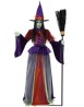 Pretty witch