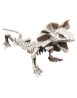 Lizard skeleton