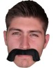Bigote de borracho