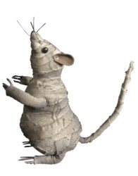 Standing Mummy Rat