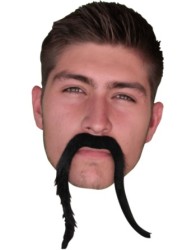 Bigote de chino