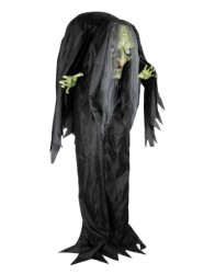 Bruja jorobada