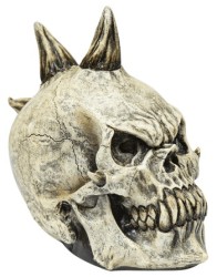 Skull Punk