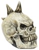 Skull Punk