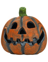 Funny Pumpkin