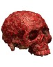 Blood Scab Resin Skull