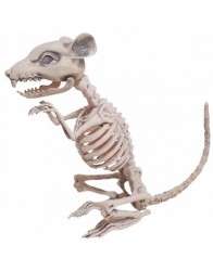 Esqueleto de rata