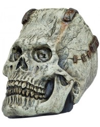 Franky Skull