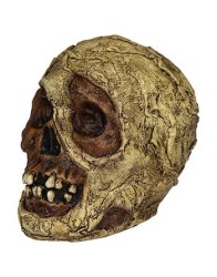Mummy Skull