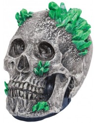 Kryptonite Skull