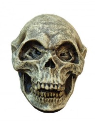 Alien Skull