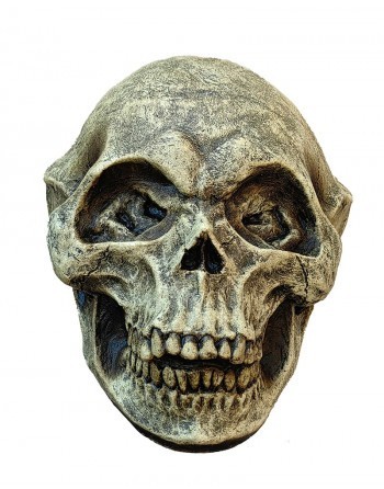 Alien Skull