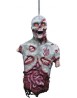 Hanging Corpse