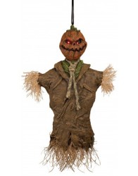 Hanging Pumpkin