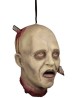 Decapitated stabbed