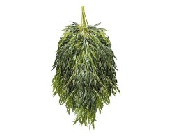 A1187