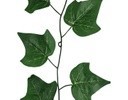 A1188