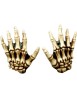Junior skeleton hands bone...