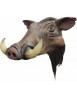 Wild boar helmet