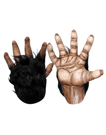 Chimp Brown Hands