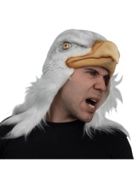 Eagle Helmet