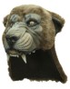 Cougar Helmet