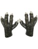 Velociraptor Claws