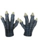 Winter Dragon Claws