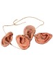 Earneacklace