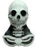 Long Neck Skull White