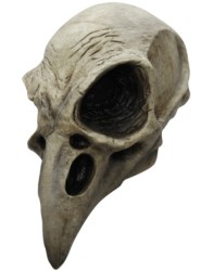 Crow Skull