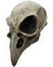 Crow Skull